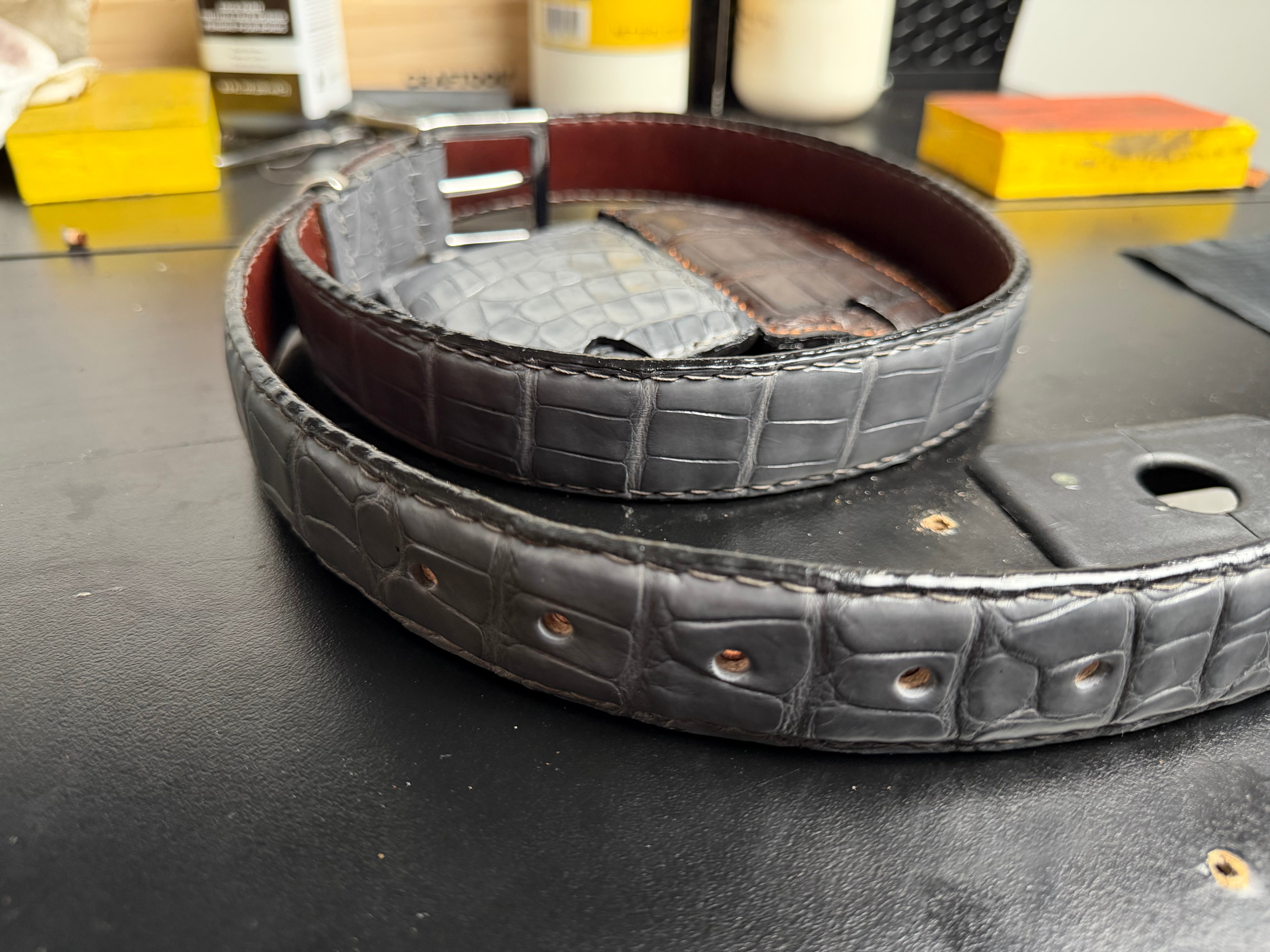 Wild Louisiana Alligator Belt