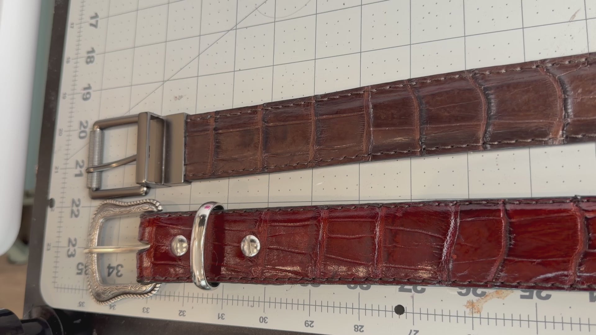 Wild Louisiana Alligator Belt